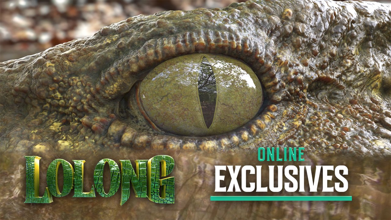 Paano binuhay ng 'Lolong' si Dakila? | Lolong
