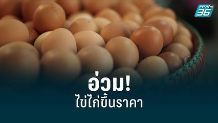 ค่าครองชีพขึ้น! ไข่ไก่ปรับราคา ฟองละ 3.60 บาท  | เที่ยงทันข่าว | 17 ส.ค. 65