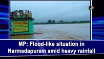 MP: Flood like situation in Narmadapuram amid heavy rainfall