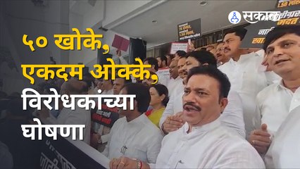 Vidhansabha Session 2022: विधिमंडळाच्या पायर्यांवर विरोधकांची सरकारविरोधात घोषणाबाजी