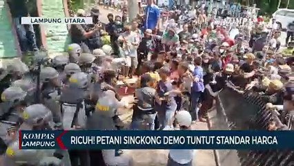 Ricuh! Petani Singkong Demo Tuntut Standar Harga