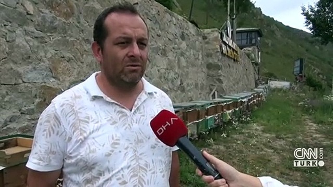 Sahte anzer balına dikkat!