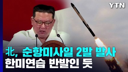 북한, 尹 취임 100일에 순항미사일 2발...한미연습 반발인 듯 / YTN