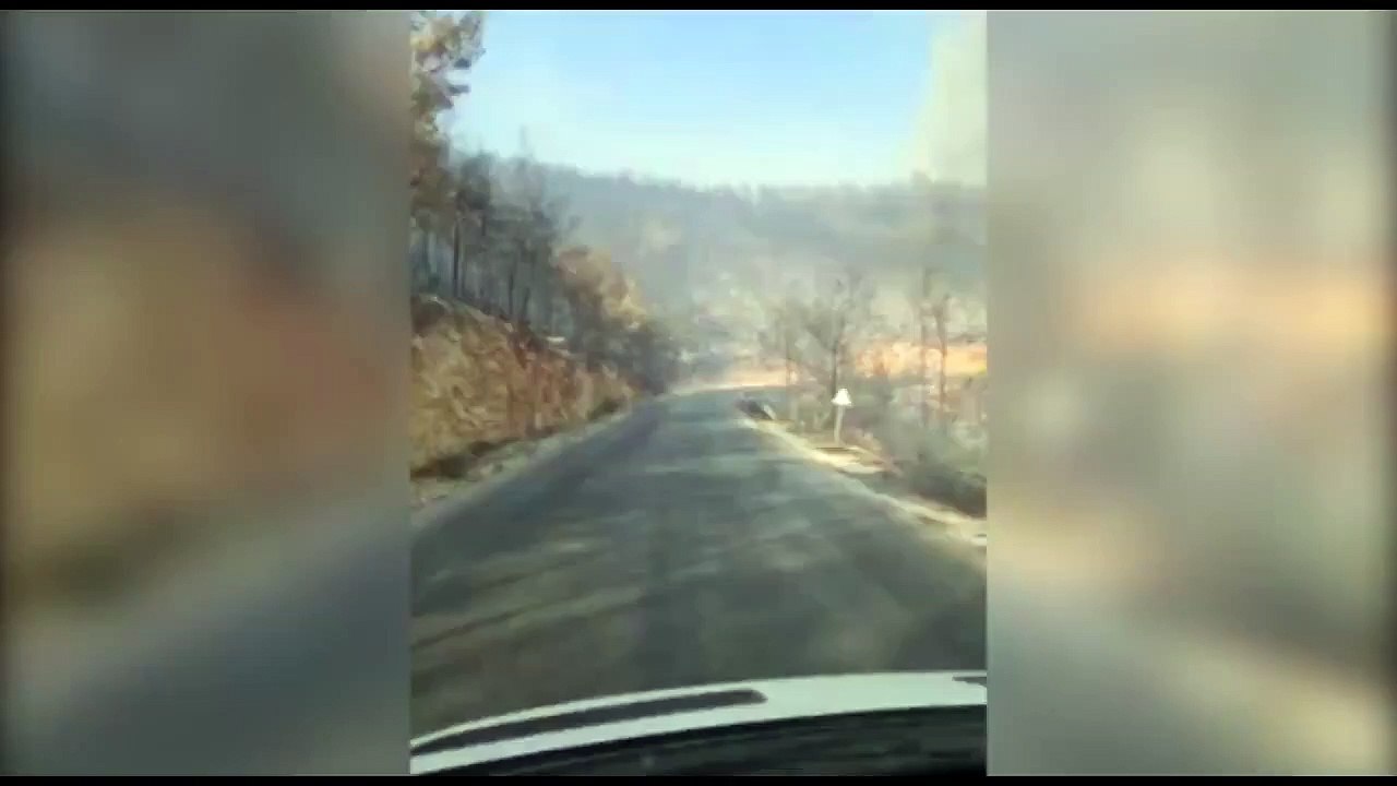 Bodrum'daki yangında sabotaj şüphesi!