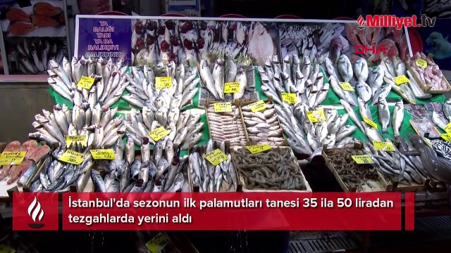 İstanbul'da sezonun ilk palamutları tezgaha çıktı