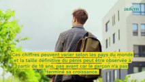 Gros pénis : taille, record, positions privilégiées, tout savoir sur le sexe masculin 