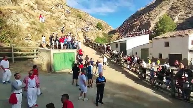4º encierro del Pilón en Falces 2022
