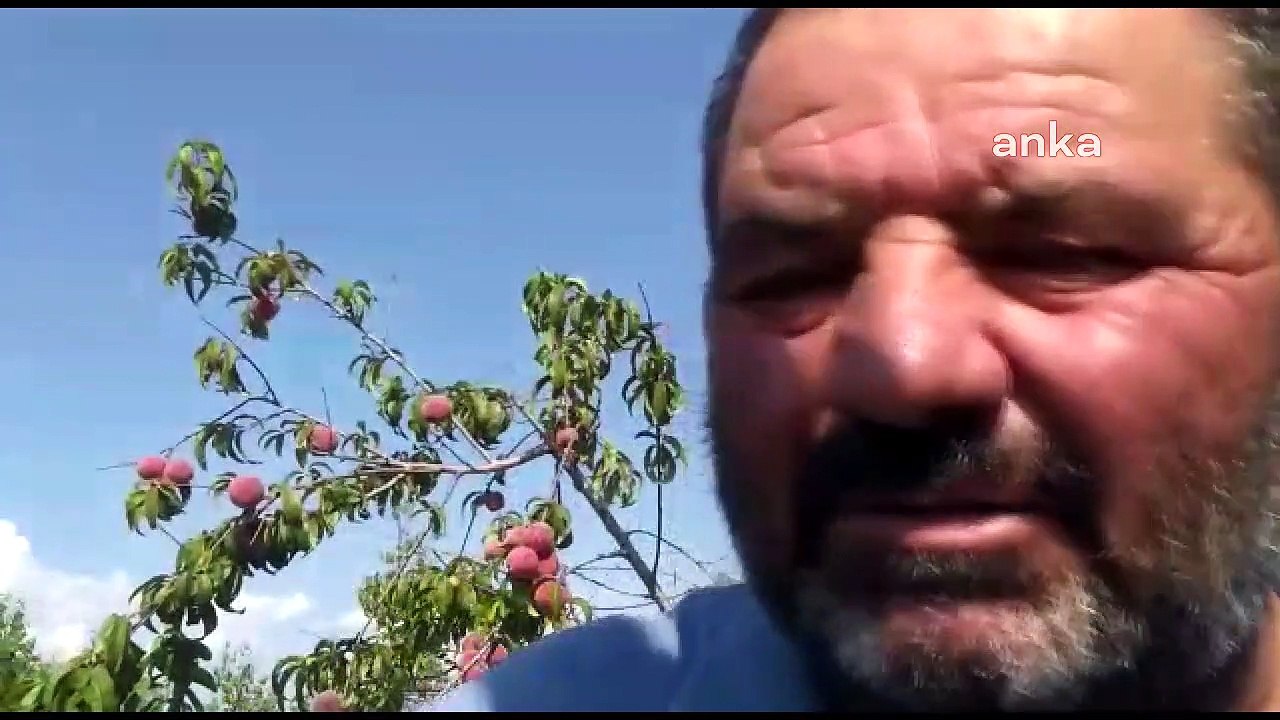 Denizlili çiftçiden Erdoğan'a: Tarım Kredi Kooperatifi, bizlerin ürünlerini alsa da borçlardan kurtulsak, bize bir çözüm bulun
