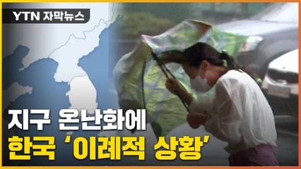 [자막뉴스] 공식 다 깨진 '장마와 무더위'..."우기 도입 고려해야" / YTN