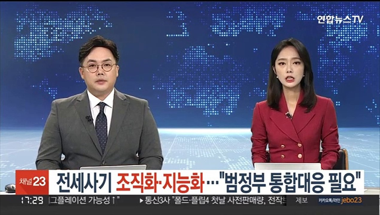 [전세사기④] 전세사기 조직화·지능화…"범정부 통합대응 필요"