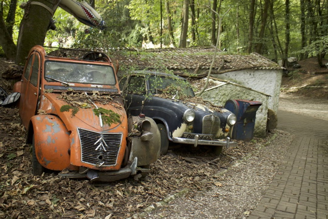 Million Dollar Car Graveyard