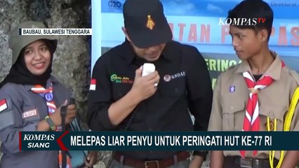 Скачать видео: BKSDA Baubau Rayakan HUT RI ke-77 dengan Lepasliarkan 8 Ekor Penyu di Pantai Nirwana!