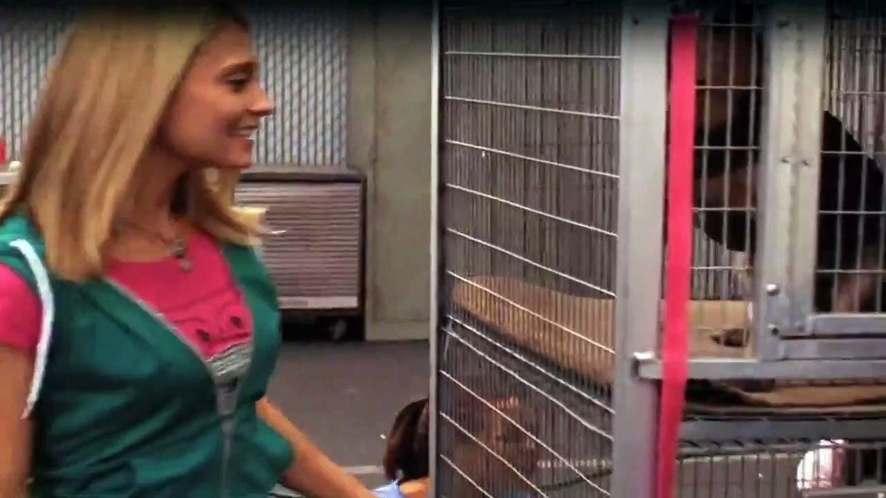 Greek Staffel 1 Folge 13 HD Deutsch