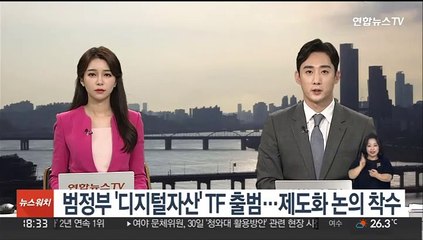 Download Video: 범정부 '디지털자산' TF 출범…제도화 논의 착수