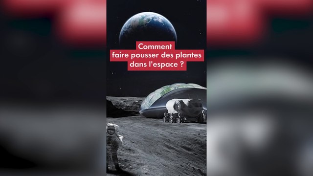 Comment fera-t-on pousser les plantes dans l'espace, sur la Lune et Mars ?