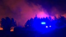Portogallo, continua la battaglia per salvare i boschi dal fuoco