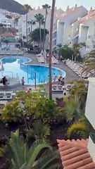 Carrera por la reserva de hamacas en un hotel de Tenerife. / joanne.parry45