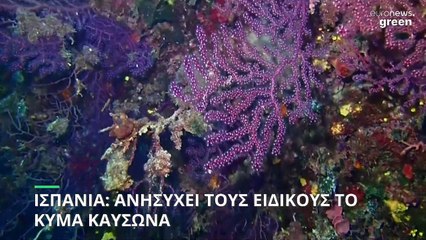 Ισπανία: Ανησυχεί τους ειδικούς η άνοδος της θαλάσσιας θερμοκρασίας