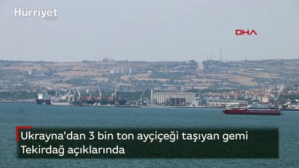 Ukrayna'dan 3 bin ton ayçiçeği taşıyan gemi Tekirdağ açıklarında