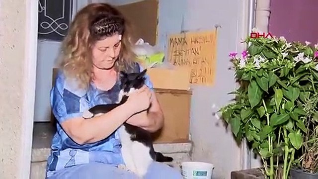Kediye tekme kavgasında ortalık savaş alanına döndü