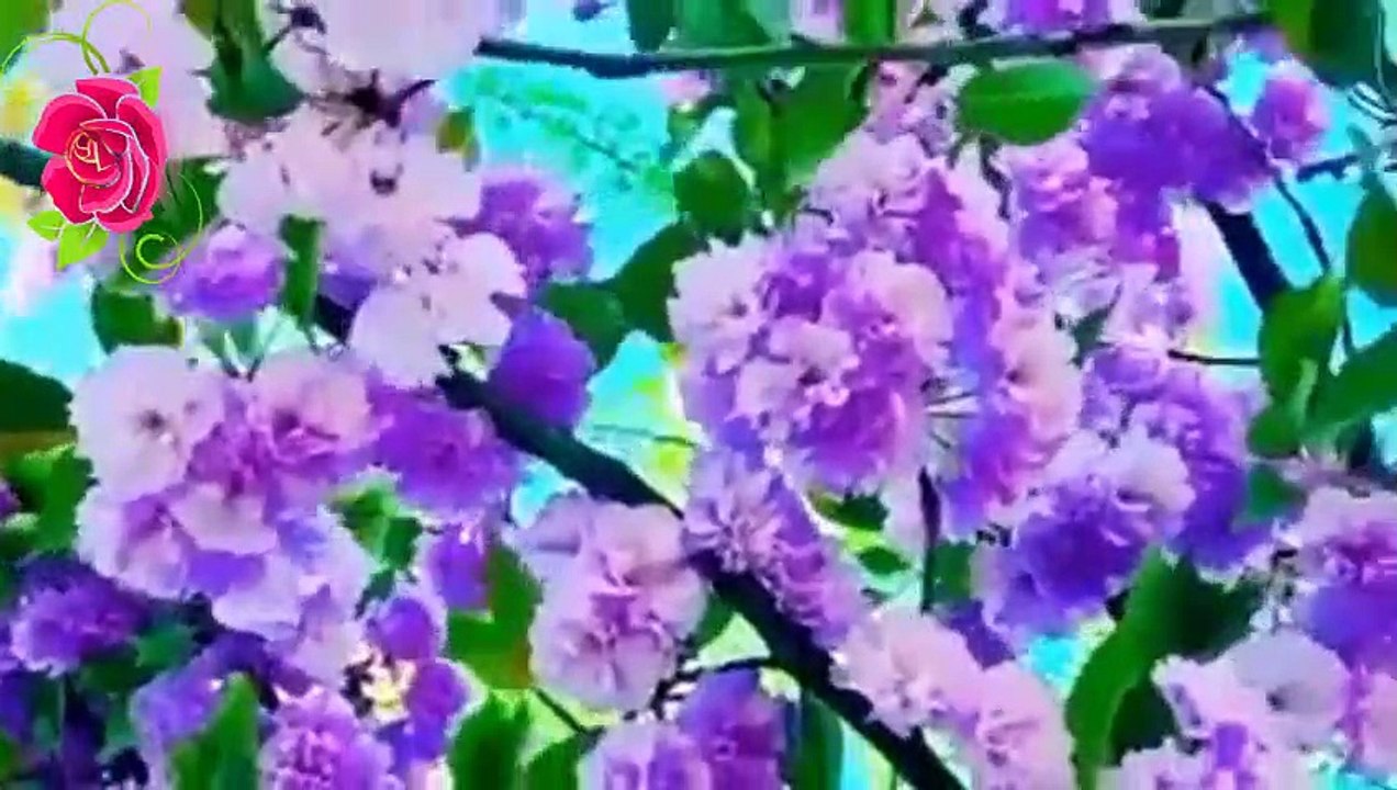 8 Minutes to Start Your Day Right! - MORNING MOTIVATION Music