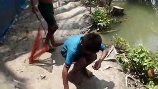 Amazing fishing catch ｜｜ two handsome boy hook Fish catch
