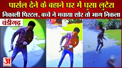 Attempted Robbery In Sector-35 Of Chandigarh|पार्सल देने के बहाने घर में घुसा लुटेरा,निकाली पिस्टल