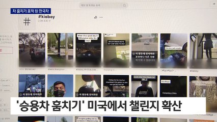 자랑하듯 차 훔치기…SNS놀이에 표적 된 한국차