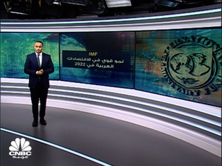 توقعات IMF.. الاقتصادات العربية تتألق على وقع حرب روسيا وأوكرانيا في 2022