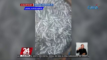 Nasa 600kg na dilis, nahuli ng mga mangingisda sa kabila ng masamang panahon | 24 Oras