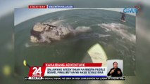 Dalawang Argentinian na nagpa-paddle board, pinalibutan ng nasa 12 balyena | 24 Oras