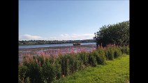 Stranded shipwreck, River Foyle Derry, Ireland