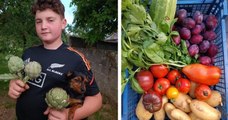 Seine-et-Marne : ce garçon de 13 ans possède son propre potager et propose des paniers de légumes bio