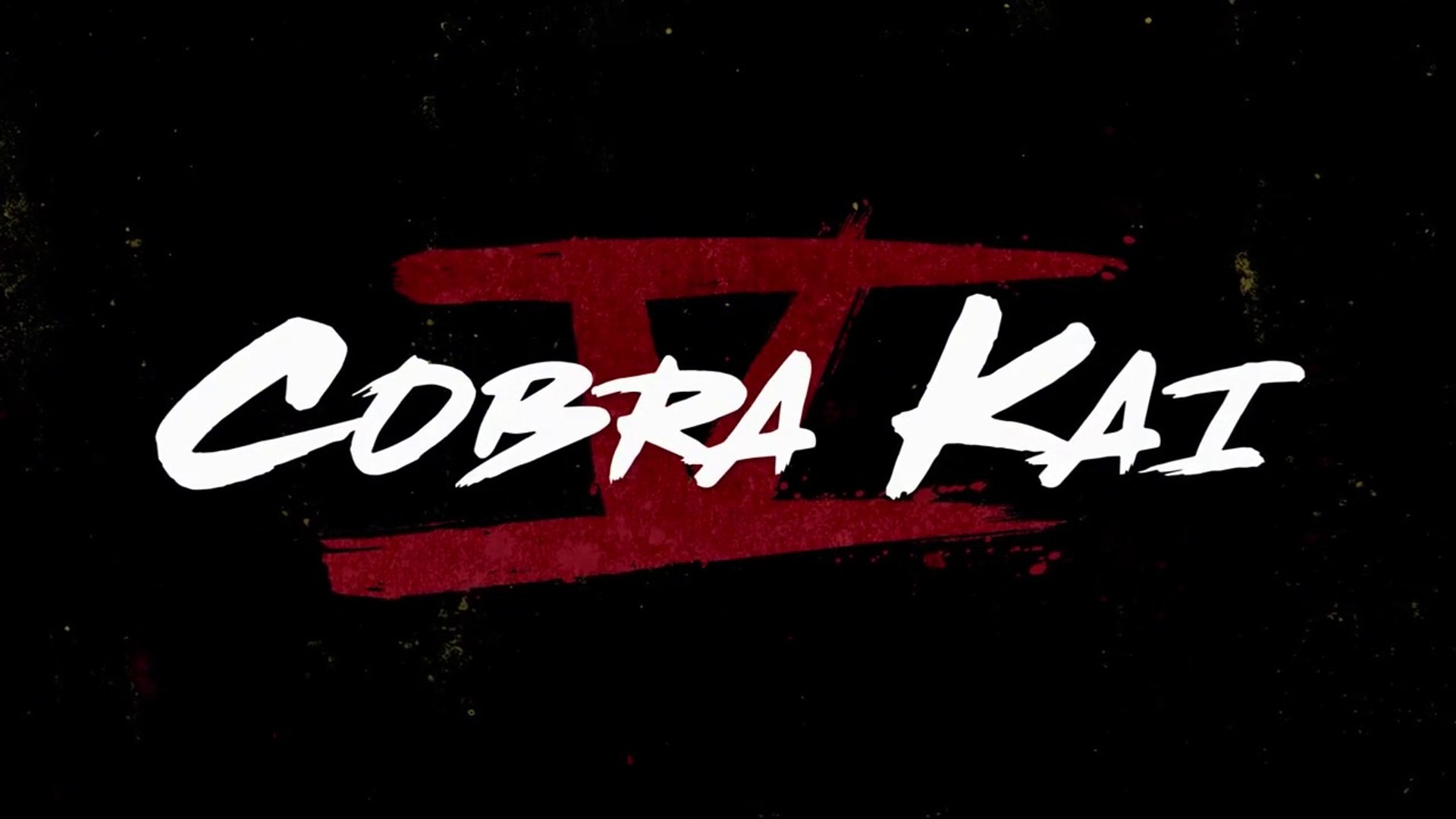 Cobra Kai sur Netflix : bande-annonce de la saison 5 - Vidéo Dailymotion