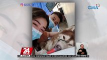 'Lolong' star Shaira Diaz, nagluluksa sa pagpanaw ng kanyang 9-year-old fur baby na si 'Kakay' | 24 Oras