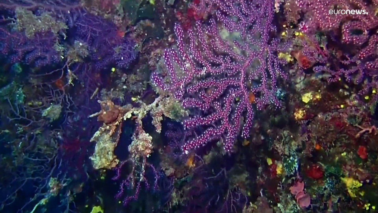 Bis zu 30 Grad: Das Wasser im Mittelmeer wird immer wärmer