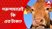 Cow Smuggling Case: অনুব্রতর কোটি কোটি টাকা বাজেয়াপ্ত, কোথা থেকে এল এত টাকা?