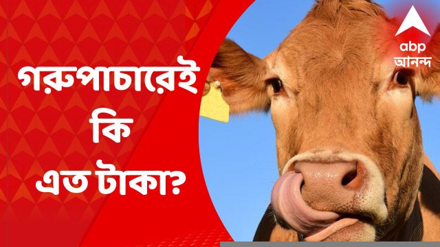 Cow Smuggling Case: অনুব্রতর কোটি কোটি টাকা বাজেয়াপ্ত, কোথা থেকে এল এত টাকা?