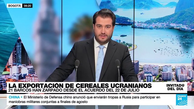 ¿Cuál es el futuro de las exportaciones de cereales ucranianos?