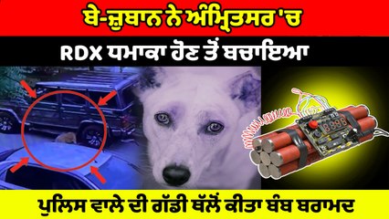 ਇਸ ਬੇ-ਜ਼ੁਬਾਨ ਨੇ Amritsar 'ਚ RDX ਧਮਾਕਾ ਹੋਣ ਤੋਂ ਬਚਾਇਆ, ਗੱਡੀ ਥੱਲੋਂ ਕੀਤਾ ਬੰਬ ਬਰਾਮਦ | OneIndia Punjabi