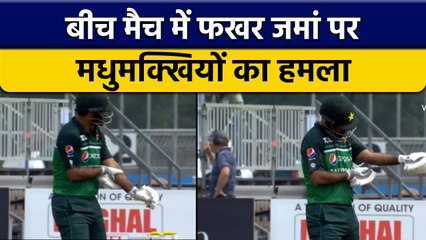 PAK vs NED: Fakhar Zaman पर बीच मैच में मधुमक्खियों ने किया हमला | वनइंडिया हिन्दी *Cricket