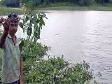 Chambal River: नदी में बढ़ी पानी की आवक, खेतों में फसलें हुई जलमग्न-video