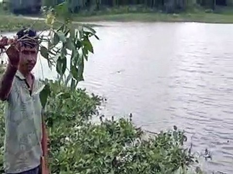Chambal River: नदी में बढ़ी पानी की आवक, खेतों में फसलें हुई जलमग्न-video