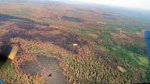 Incêndios florestais duplicaram em 20 anos