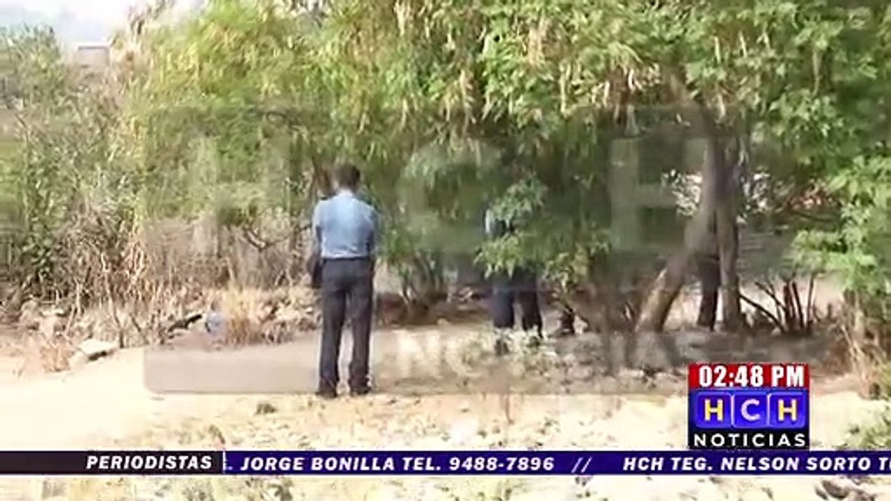 A disparos asesinan un hombre en la colonia flor del campo sector de la cantera