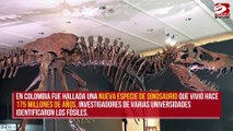 Encuentran en Colombia una nueva especie de dinosaurio