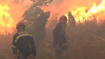 Son dakika haberleri! İspanya'daki orman yangını bölgesinden geçen trende facia: 20 yaralı