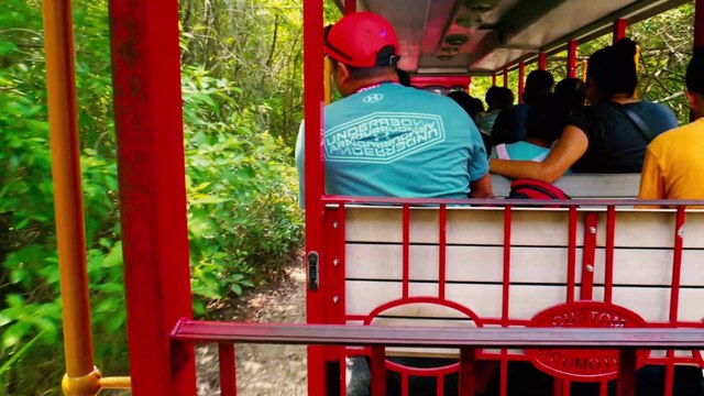 The Gatorland Express Train (Gatorland Theme Park - Orlando, Florida) - POV Of Scenic Train Ride - Narrated By Train Engineer