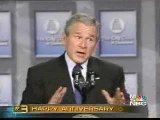 Bush lies