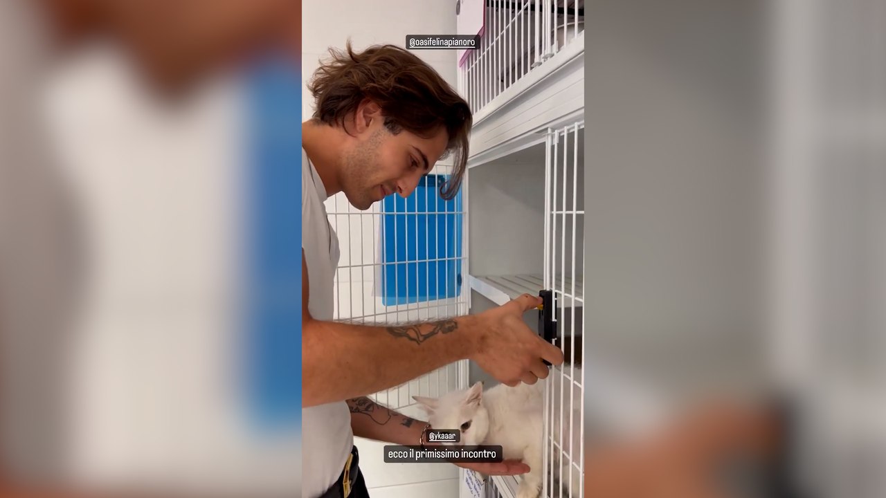 Pianoro, Damiano dei Maneskin e Giorgia Soleri all'Oasi Felina: il video